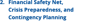 2. Financial Safety Net, Crisis Preparedness, and Contingency Planning