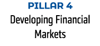 Pillar 4 Developing Financial Markets 