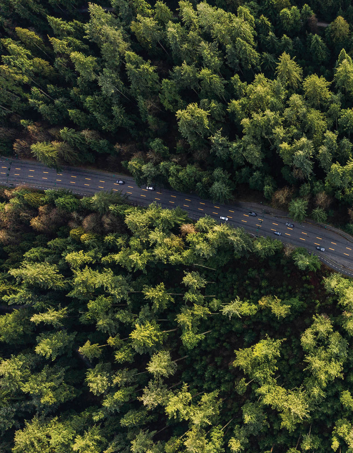 Arial view of a highway through a forest at sunset