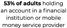 53% of adults holding an account in a financial institution or mobile money service provider 