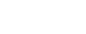 Organized about 60 regional and international conferences and workshops