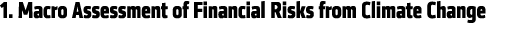 1. Macro Assessment of Financial Risks from Climate Change