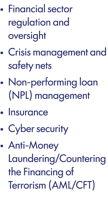 • Financial sector regulation and oversight • Crisis management and safety nets • Non performing loan (NPL) managemen...