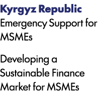 Kyrgyz Republic Emergency Support for MSMEs Developing a Sustainable Finance Market for MSMEs