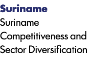 Suriname Suriname Competitiveness and Sector Diversification