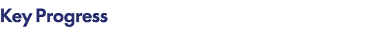 Key Progress 