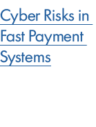 Cyber Risks in Fast Payment Systems 