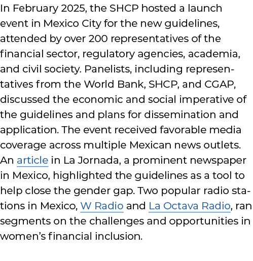 In February 2025, the SHCP hosted a launch event in Mexico City for the new guidelines, attended by over 200 represen...