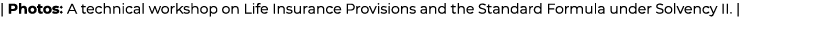 | Photos: A technical workshop on Life Insurance Provisions and the Standard Formula under Solvency II. |